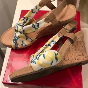 Aerosols Memory Foam Wedges